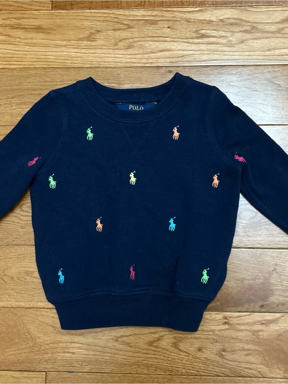 Polo Ralph Lauren Boys 2T Navy Sweatshirt Multicolor Pony Logo Embroidered